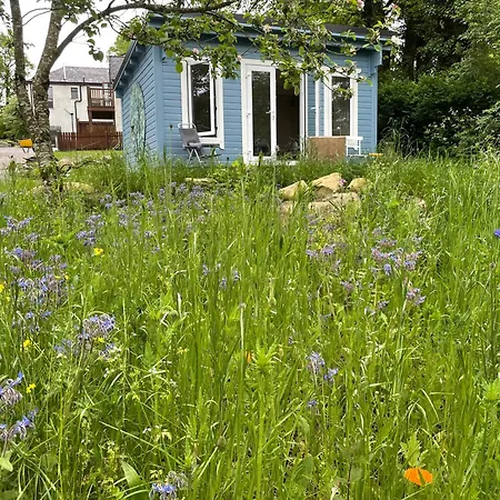 キャンプ場 Glamping At The Old Rectory Dún Ard